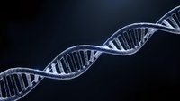 DNA double helix structure with detailed molecular bonds on dark background for scientific research, genetics education, biotechnology presentations.