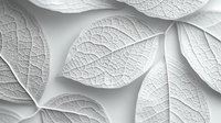 Delicate white leaf veins and textures create an elegant natural pattern in monochrome. Macro photography reveals intricate botanical details on light background.