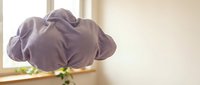 Young man in purple hoodie sitting by window holding small plant, contemplating growth and new beginnings in soft natural light for wellness concepts.