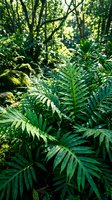 Lush tropical rainforest with dense green foliage, towering trees, and vibrant palm fronds creating a verdant canopy. Sunlight filters through leaves, illuminating the jungle undergrowth and creating a serene, natural environment ideal for nature, travel, and environmental design projects.