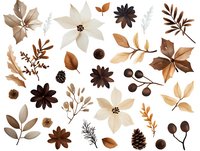Elegant brown and beige floral elements on white background. Isolated botanical set with flowers, leaves, berries and pine cones for digital scrapbooking and design.