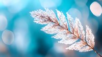 Delicate frost-covered branch with intricate ice crystals against soft blue bokeh background. Winter nature macro photography for seasonal designs and decorations.