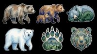 Grizzly bear, brown bear cub, sleeping bear, polar bear, bear paw print, forest bear head isolated on transparent background. Ready for t-shirt design, clipart, stickers, sublimation and print-on-demand products.