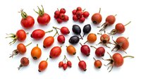 Collection of colorful rose hips and wild berries arranged on white background, perfect for natural health and botanical design projects.