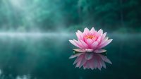 Pink lotus flower floating on calm water surface with perfect reflection and soft turquoise background for meditation and wellness concepts.