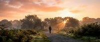 Person walking on rural path at golden hour sunrise with warm orange sky and lush countryside landscape creating peaceful morning atmosphere for wellness content.