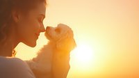 Young Caucasian woman bonding with small white fluffy dog at golden sunset, sharing tender moment against warm sunlight background in peaceful outdoor setting.
