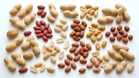 Assorted legumes and nuts including peanuts in shells, red kidney beans, chickpeas, and blanched almonds arranged on white background for culinary and nutritional content.