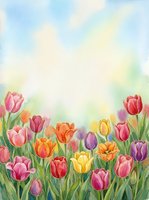 Watercolor tulip garden with colorful blooms in pink, orange, yellow and purple, soft sky background with copy space for text.