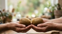 Two kiwi fruits held in open palms against blurred green foliage background, representing sharing, healthy eating, organic produce, and sustainable food choices.