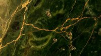 Aerial view of dense forest with winding rivers and clearings, captured from above showing natural landscape patterns and waterways cutting through lush green vegetation.