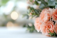 Delicate peach carnations in soft focus with bokeh lights background, fresh floral arrangement featuring gentle petals and green foliage creates romantic mood.