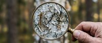 Hand holding magnifying glass over cracked dry earth showing climate change effects and environmental degradation in natural outdoor setting.