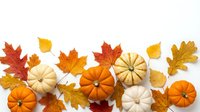Autumn pumpkins and colorful fall leaves arranged on white background for seasonal decoration, thanksgiving harvest celebration and holiday design projects.