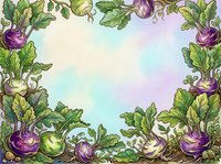 Kohlrabi vegetables frame border with purple and green produce arranged around pastel watercolor background, suitable for organic food packaging, recipe cards, and agricultural designs.