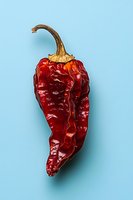 Single dried red chili pepper with curved stem on light blue background for culinary and cooking designs.