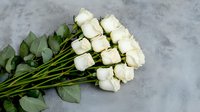 Fresh white roses with long stems and green leaves lying on gray concrete background, elegant floral arrangement for wedding, anniversary, or romantic occasions.