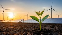 Green plant seedling growing in soil with wind turbines and solar panels at sunset representing sustainable energy and environmental growth.