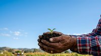 Farmer holding young seedling plant in soil-covered hands against clear sky, representing agriculture, growth, and sustainable farming practices.
