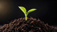 Young green plant seedling emerging from rich dark soil against black background symbolizing new life, growth, and fresh beginnings in nature.