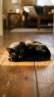 Black cat resting on wooden floor in cozy home interior with blurred living room furniture in background. Domestic pet relaxation scene.