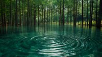 Tranquil forest lake with concentric ripples on emerald water surface, surrounded by tall pine trees creating mystical atmosphere. Sunlight filters through dense foliage.
