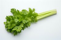 Fresh green celery stalk with crisp leaves isolated on white background, ready for healthy cooking and food photography use.