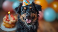 Happy black and tan mixed breed dog wearing colorful party hat celebrating birthday with cake and candle surrounded by festive balloons.