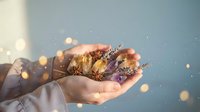 Woman hands holding aromatic spices star anise cinnamon sticks and lavender with warm golden bokeh lights creating magical atmosphere for cooking baking.