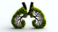 Green forest shaped as human lungs with black tree branches forming bronchial tubes on white background, representing environmental health and nature connection.