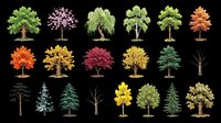 Isolated tree collection featuring twenty-four diverse species in various seasons and styles. Transparent background, ready for clipart, t-shirt design, print-on-demand products, stickers, and sublimation projects.