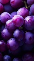 Fresh purple grapes with water drops in macro shot showing detailed texture and natural shine against dark background, suitable for wine and food industry marketing.