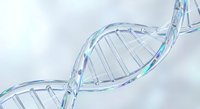 Transparent DNA double helix structure with genetic code sequences for medical research and biotechnology applications in healthcare innovation.