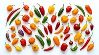 Colorful assortment of fresh hot chili peppers in various shapes and sizes arranged on white background. Spicy cooking ingredients for culinary recipes.