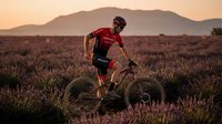 Mountain biker in red jersey cycling through purple heather field at golden hour sunset with dramatic mountain backdrop for outdoor adventure sports.
