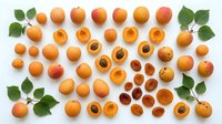 Fresh organic apricots arranged in rows showing whole fruits and halved pieces with pits, decorated with green leaves on white background.
