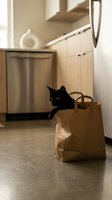 Black cat peeking out of brown paper grocery bag in modern kitchen with stainless steel appliances and neutral tones, suitable for pet, home, and lifestyle content.