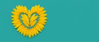 Yellow sunflower petals arranged in a heart shape on a vibrant teal background, copy space for text, love and nature concept.