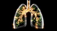 Glowing anatomical lungs with illuminated bronchial tree and green leaves growing inside against black background, representing health and nature connection.