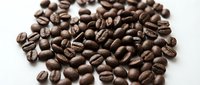 Roasted coffee beans scattered on white background, ready for grinding and brewing. Use for beverage packaging, cafe menus, and coffee product marketing.