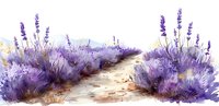 Serene pathway through blooming lavender fields, with soft purple flowers lining a rustic dirt path in a tranquil countryside setting.