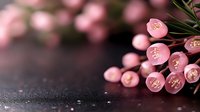 Pink makeup brushes with rose gold ferrules arranged on dark textured surface with soft bokeh lighting for beauty and cosmetics applications.