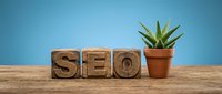 SEO letters on rustic wooden blocks beside a green succulent plant on a wooden surface against a soft blue background for digital marketing concepts.