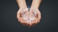 Hands holding glowing transparent globe with network connections representing global communication, technology and environmental protection concept.