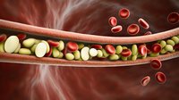 Blood vessel cross section showing red blood cells and cholesterol plaque buildup on artery walls in medical visualization. Cardiovascular disease concept.