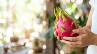 Person holding fresh ripe dragon fruit with pink skin and green crown leaves outdoors in natural sunlight, showcasing tropical exotic produce for culinary and agricultural use.