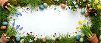 Spring garden frame with colorful Easter eggs, fresh grass, wildflowers and terracotta pots on white background for seasonal greeting cards.