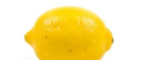 Fresh yellow lemon with textured skin and characteristic dimpled ends on white background, suitable for food, beverage, and culinary design projects.