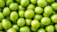 Fresh green plums arranged in rows creating natural pattern background. Bright summer fruits with smooth glossy skin texture for healthy eating concept.