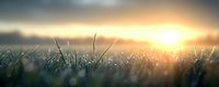 Morning dew drops glistening on grass blades at sunrise, with golden sunlight breaking through misty horizon creating dreamy bokeh effect in nature.